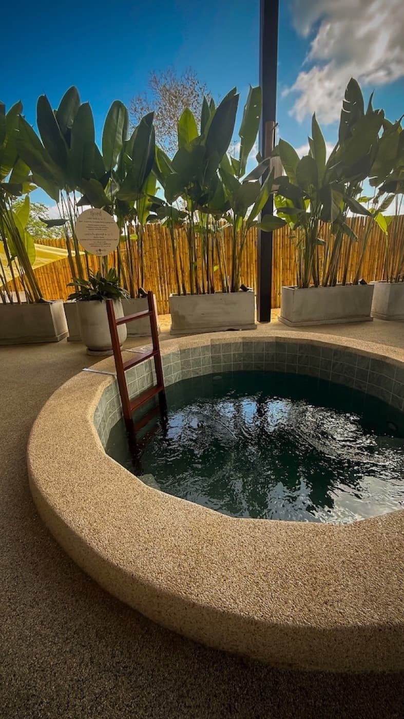 The fjord cold plunge pool at Growth Club